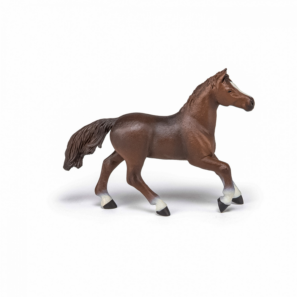 Papo Figurina Iapa Anglo-Araba [6]