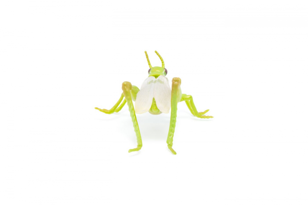 Papo Figurina Lacusta [2]