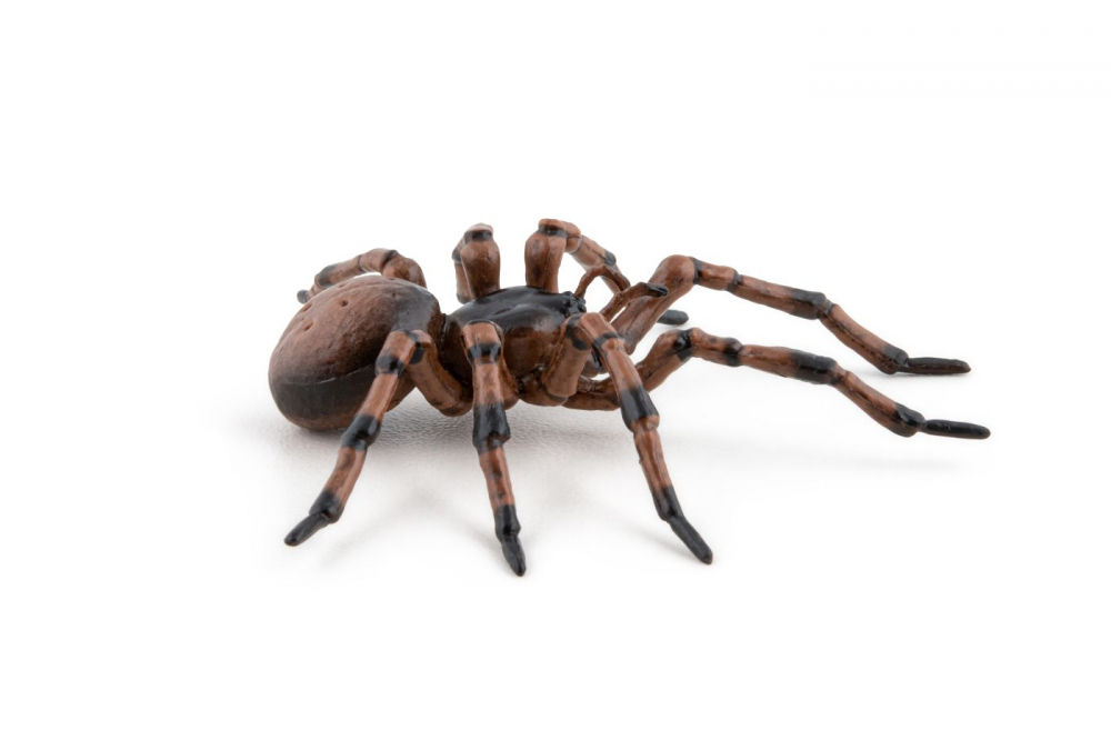 Papo Figurina Paianjen [4]