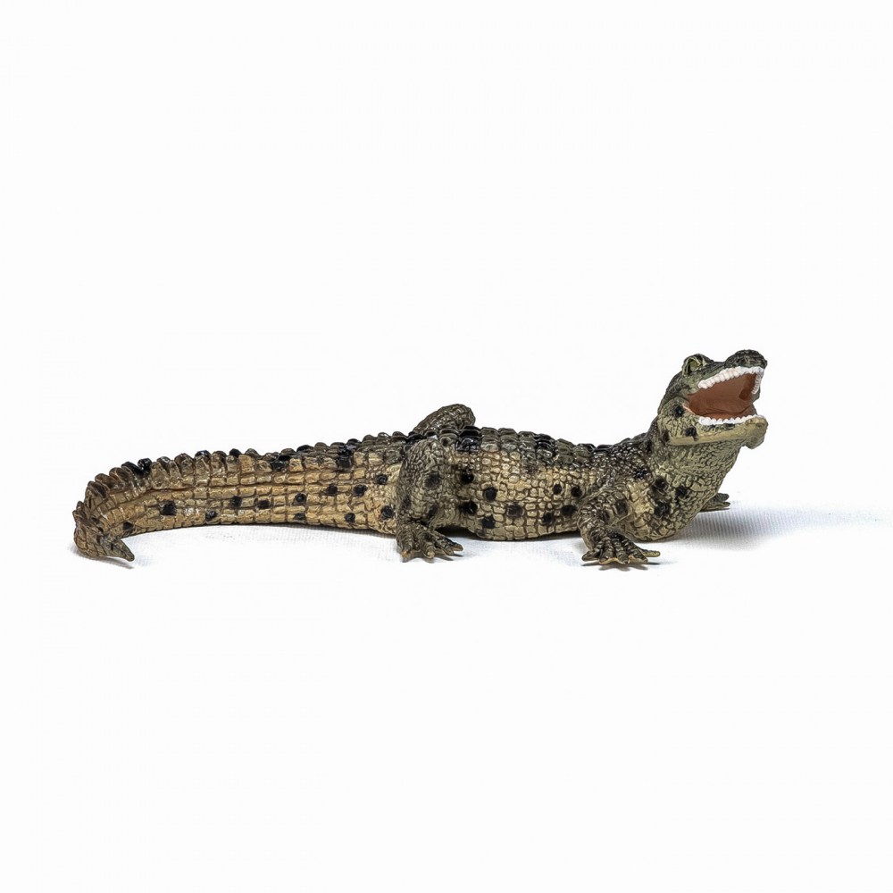 Papo Figurina Pui De Crocodil [2]