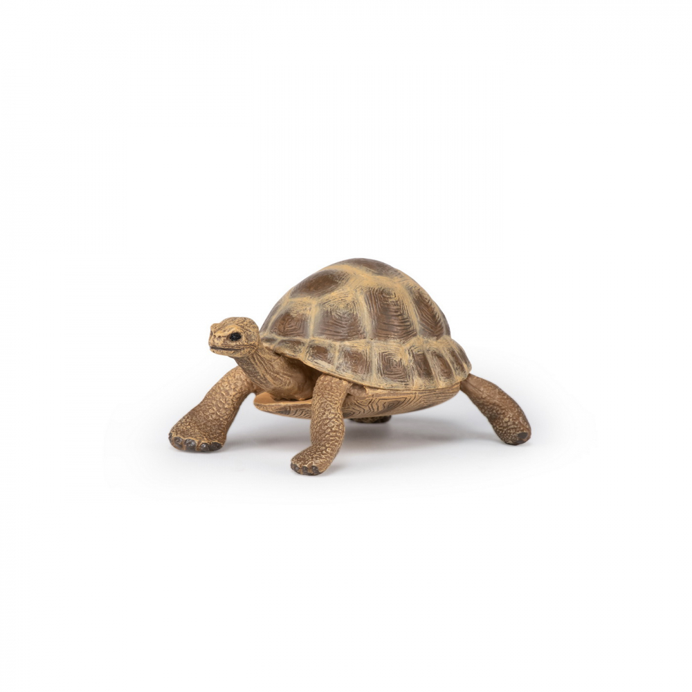 Papo Figurina Testoasa De Uscat [5]