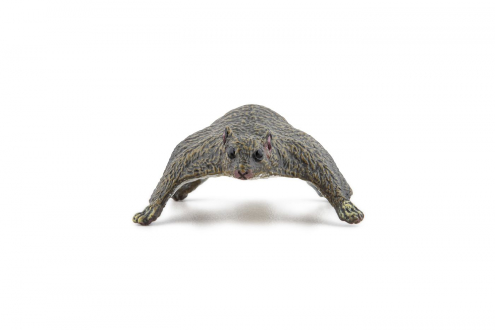 Papo Figurina Veverita Zburatoare [6]