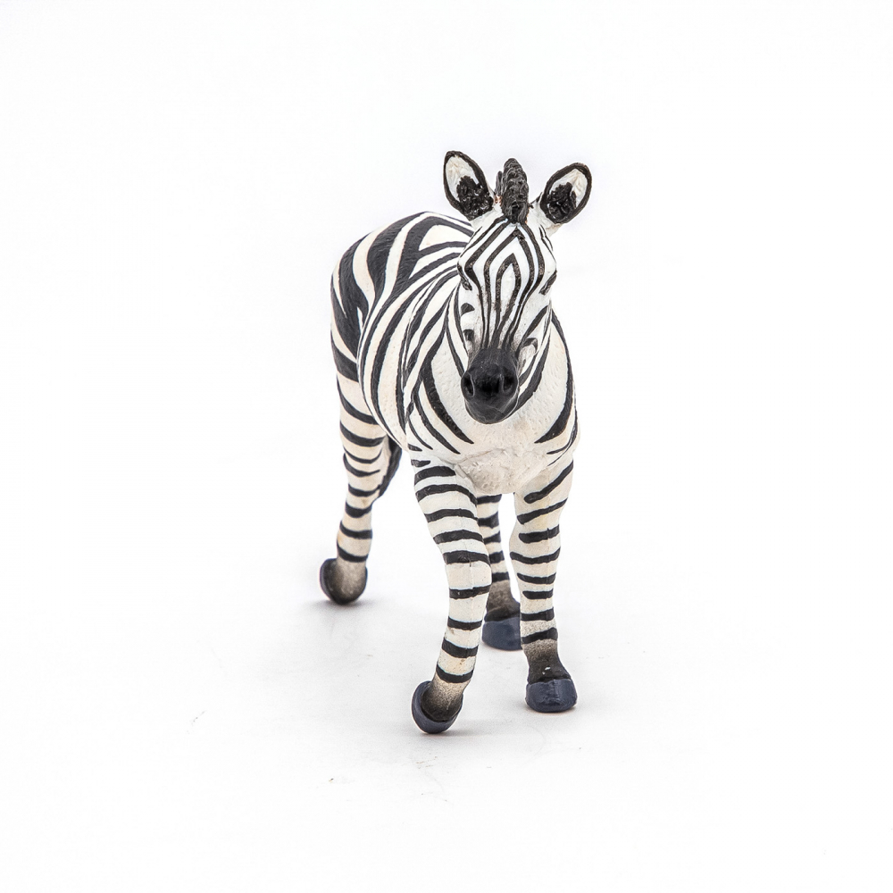 Papo Figurina Zebra [5]