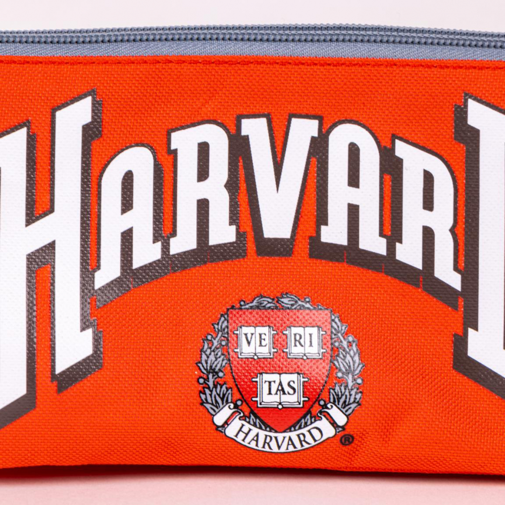 Cerda-Penar Harvard cu 3 compartimente, 22 x 11 cm [2]