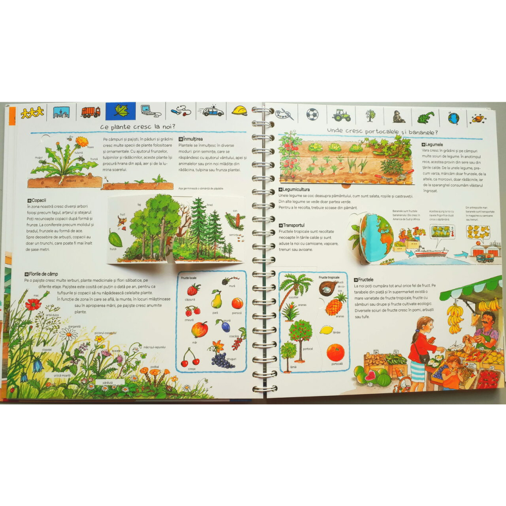 Editura Casa-Prima mea enciclopedie: Privește - Deschide ferestrele - Minuneaza-te -  [2]