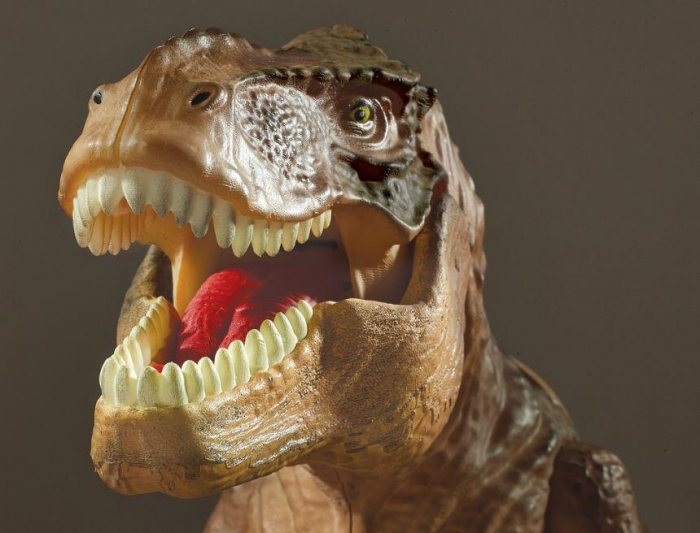 Brainstorm-Proiector-2-in-1-T-Rex [4]