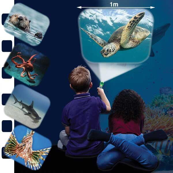 Proiector tip lanterna - Animalute marine [2]