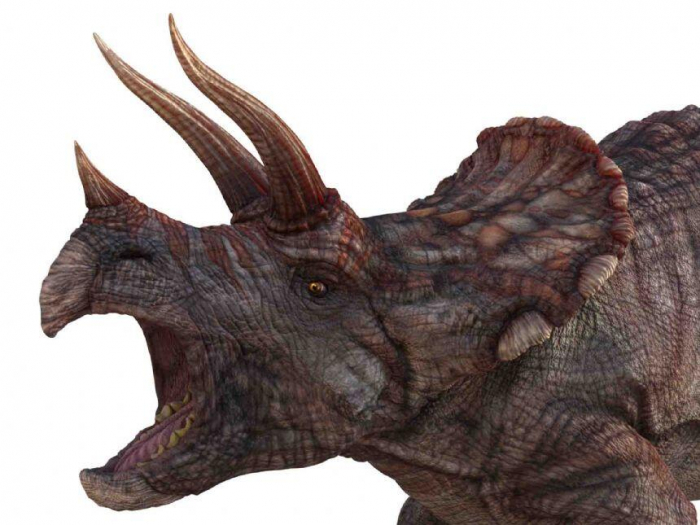 Natural History Museum Proiector tip lanterna - Dinozauri [12]