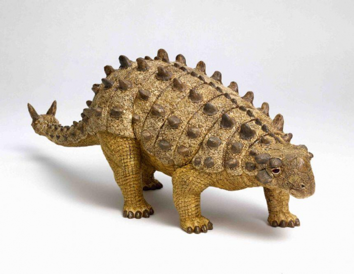 Natural History Museum Proiector tip lanterna - Dinozauri [13]