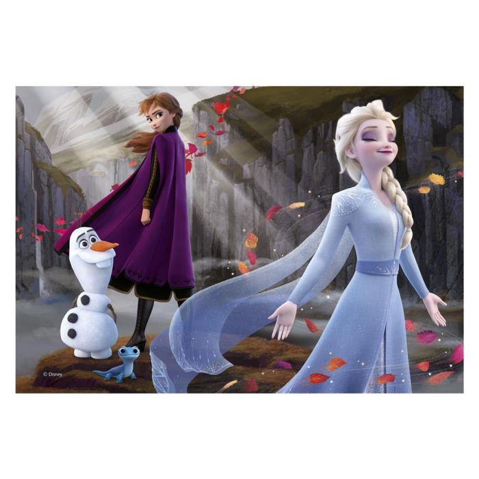 Dino-Puzzle-2-in-1-Frozen-II-77-piese [3]