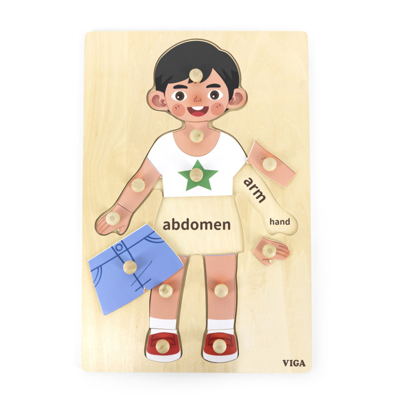 Viga-Puzzle Corpul uman - Baiat（12 piese), Viga [2]