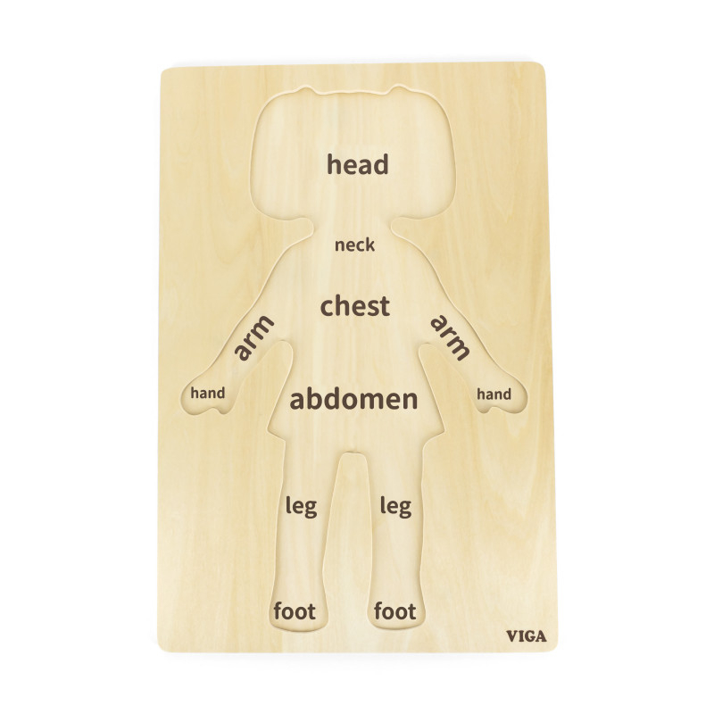 Viga-Puzzle Corpul uman - Fata（12 piese), Viga [1]
