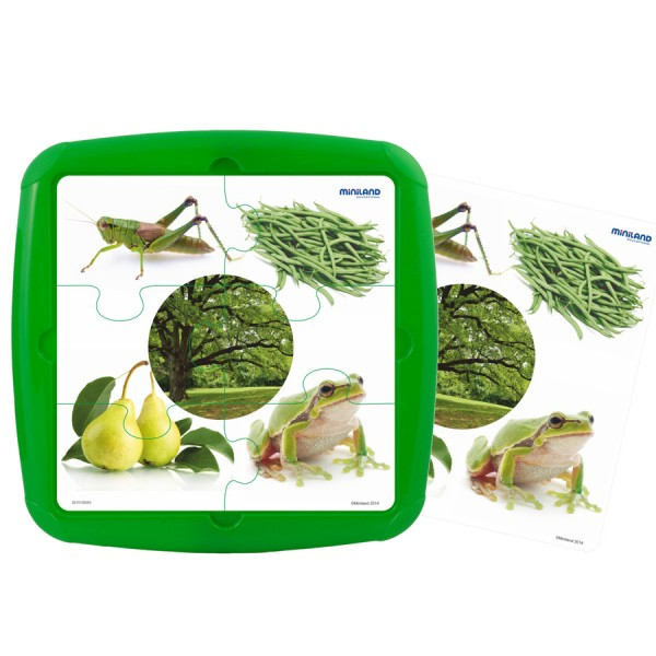 Oktató játékkészlet, Puzzle Culoarea verde [2]