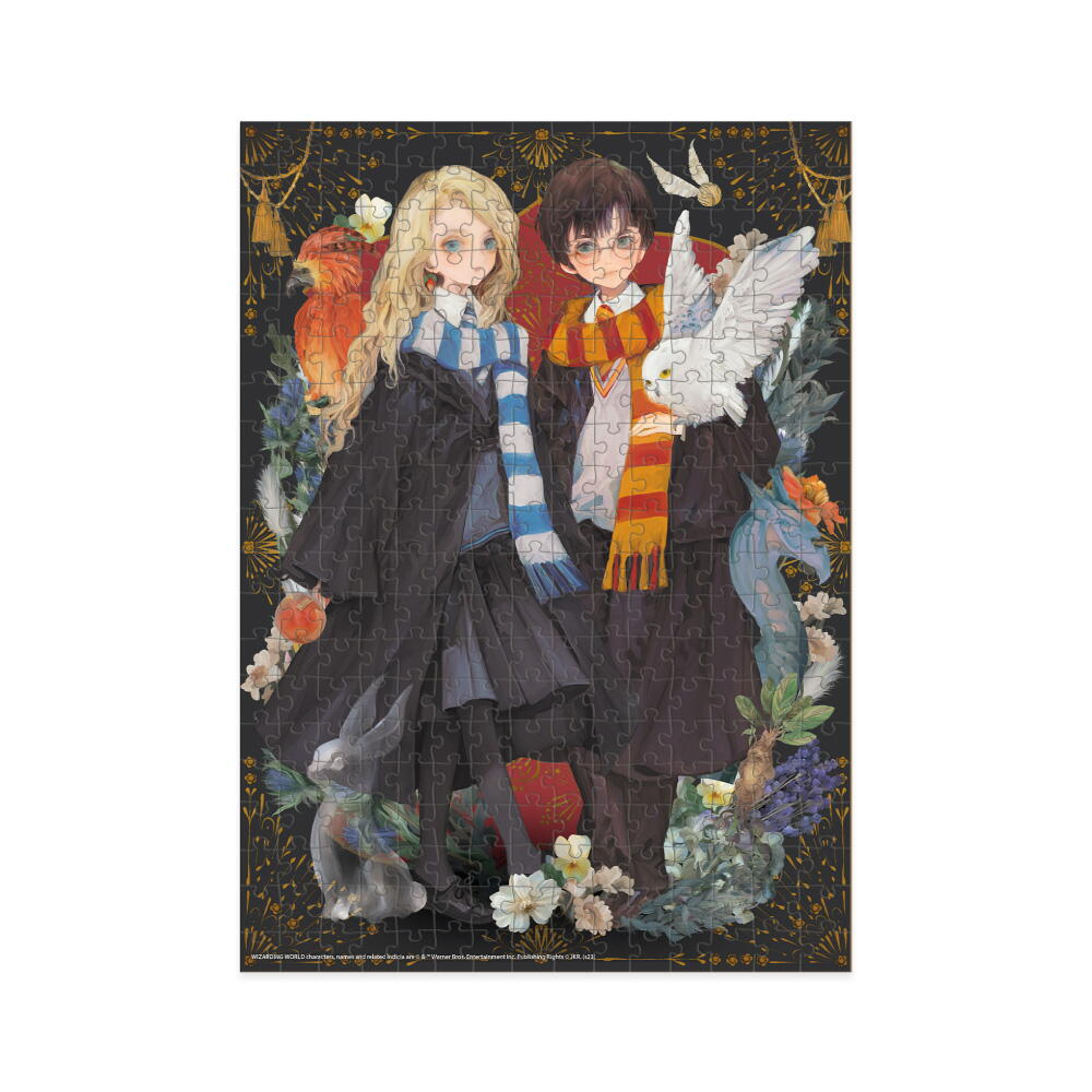 Dodo-Puzzle Harry Potter - Luna si Harry (300 piese) [3]