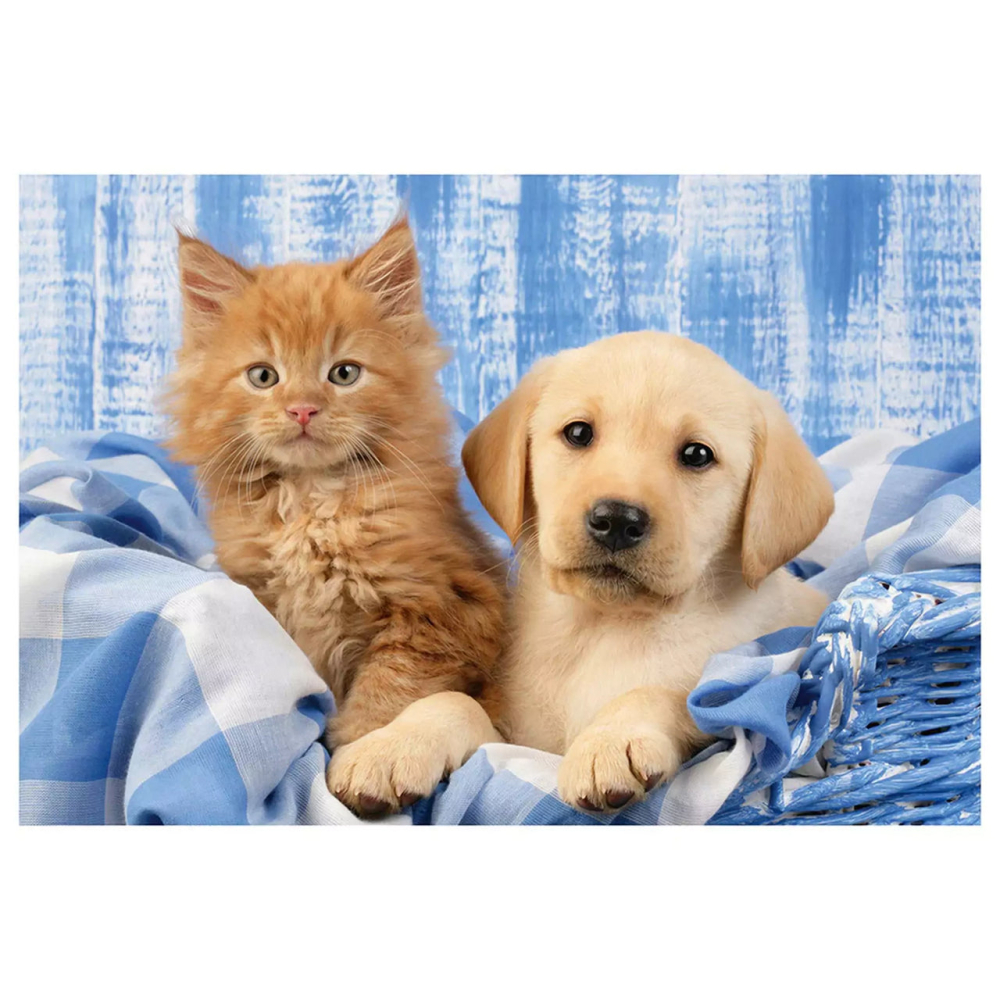 Puzzle Schmidt: Animalutele mele dragute , Set de 3 x 24 piese [2]