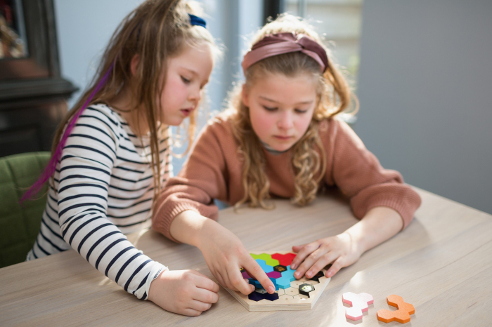 BS Toys Puzzle Stupul Albinelor [3]