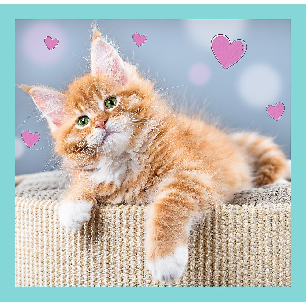 Puzzle Trefl 3In1 Pisicutele Dragalase [3]