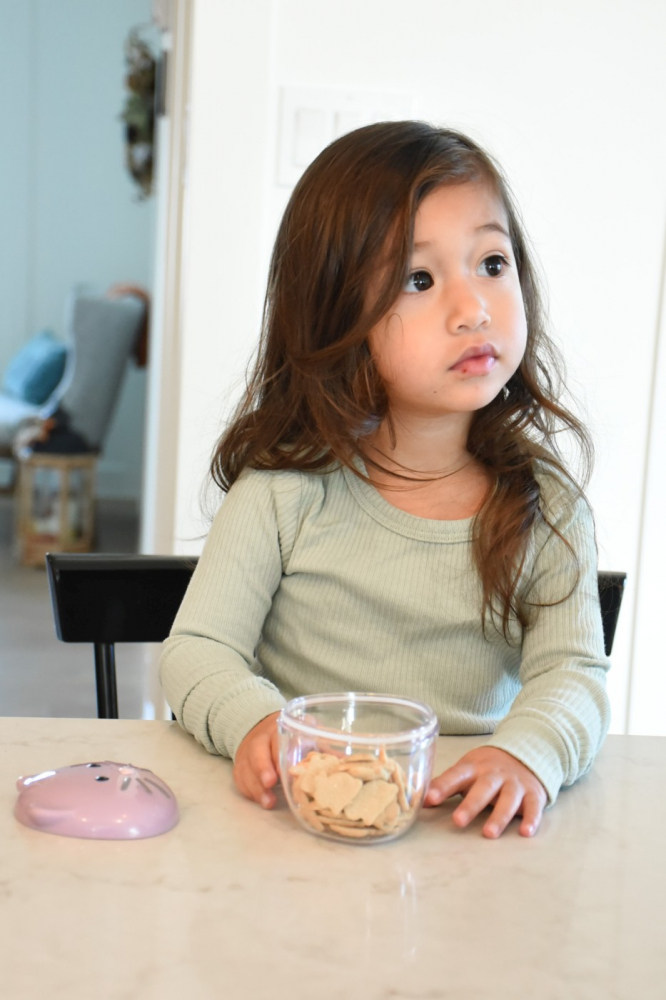 Recipient Hrana Bebe, Melii, Model Pisica [3]