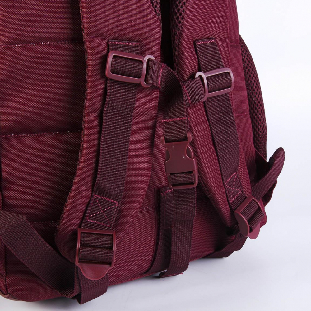 Cerda-Rucsac Harry Potter Gryffindor Burdeos, 30x18x46 cm [9]