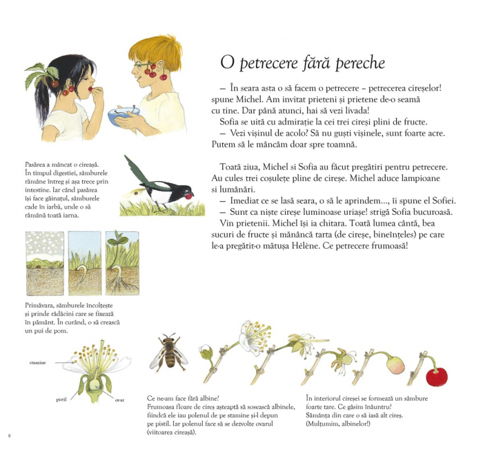 Frontiera-Sarbatoarea fructelor - Gerda Muller [4]