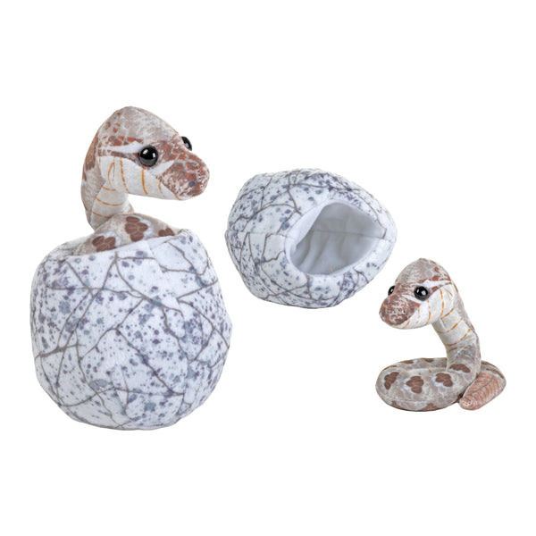 Sarpe Iesit Din Ou Hatchling [1]