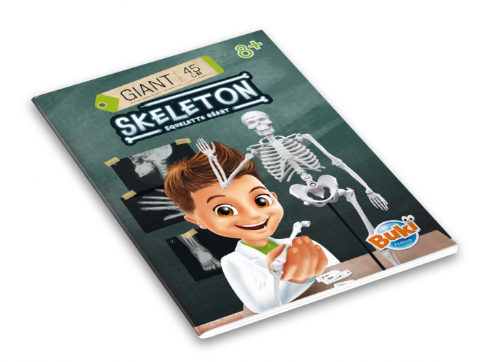 Buki France Schelet Gigant 45 cm - Anatomie pentru copii [8]