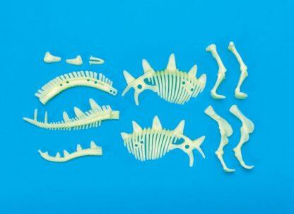 Brainstorm-Schelet-Stegosaurus-reflectorizant [3]