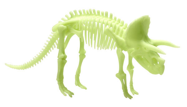 Brainstorm-Schelet-Triceratops-reflectorizant [4]