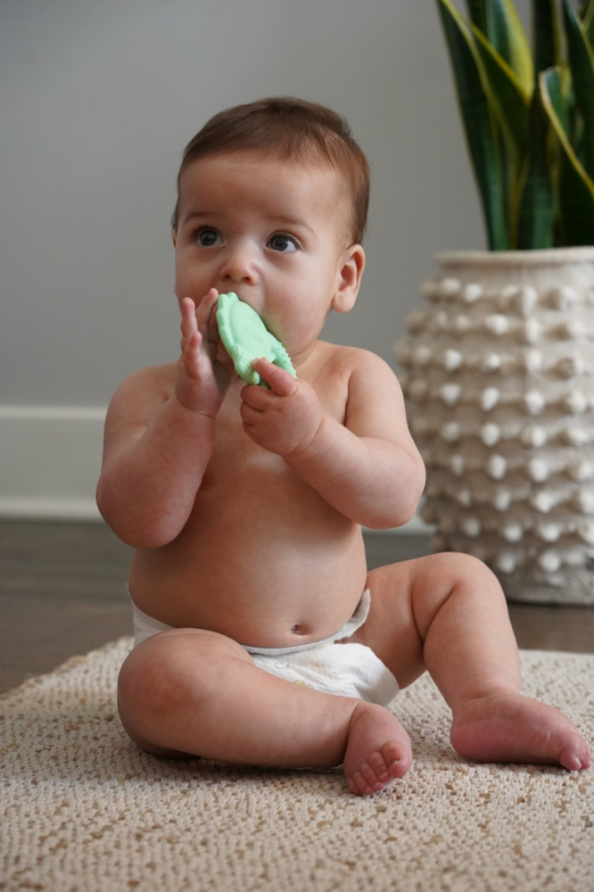 Set 2 Jucarii Dentitie Silicon Melii Model Dino + Rechin [3]