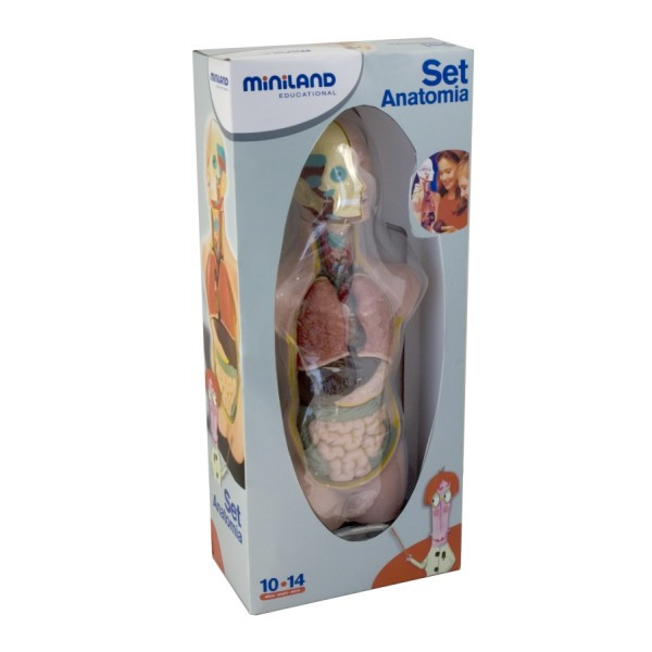 Miniland Set Anatomia Umana 50 cm [3]