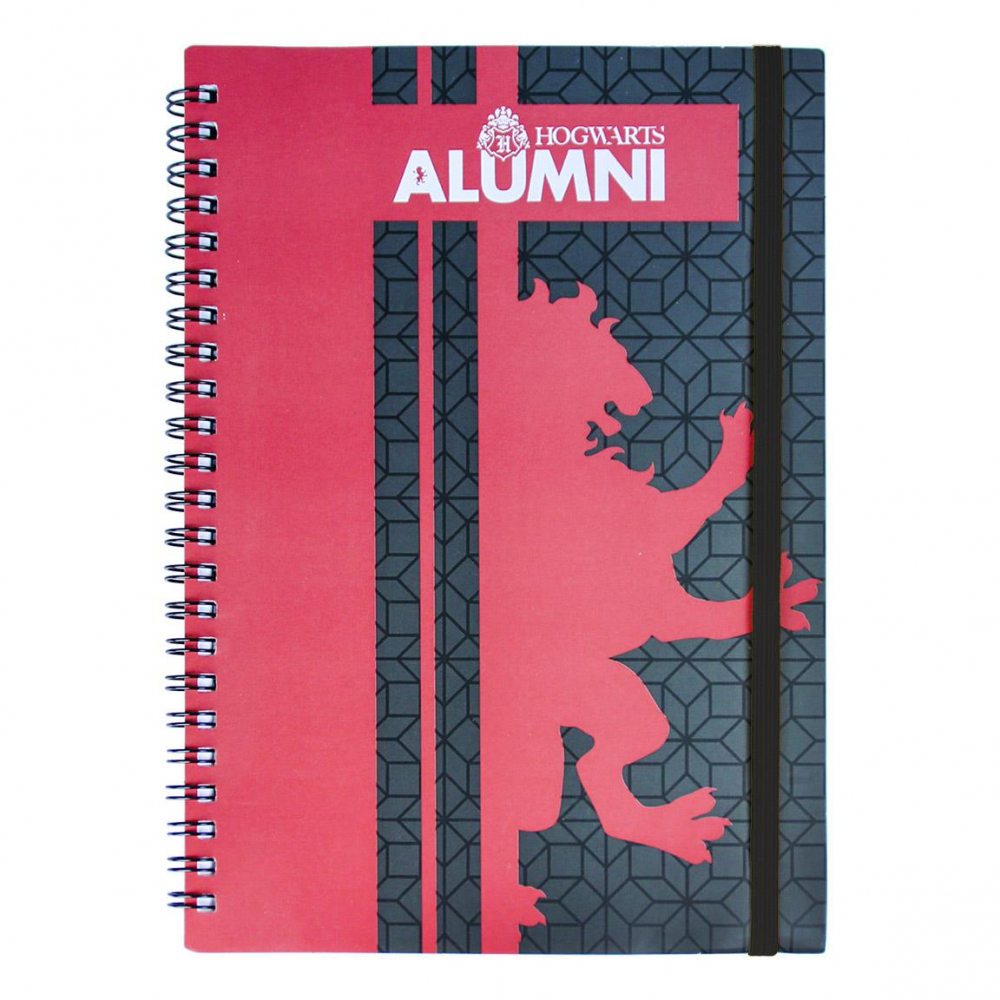 Set Birotica Harry Potter Gryffindor [2]