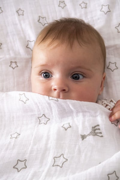 VULLI SAS-Set Cadou SOPHIEsticat Cu Girafa Sophie Si Scutec 120x120 cm [3]