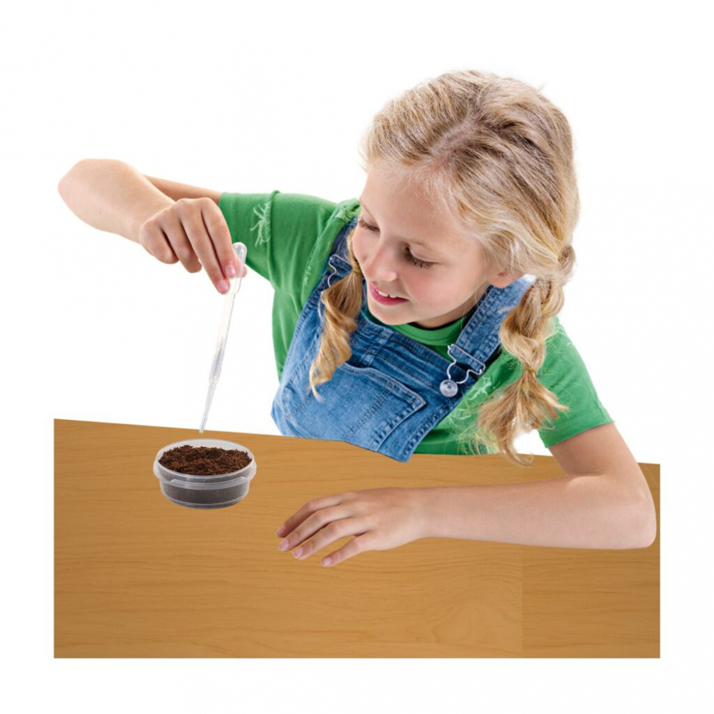 SES Creative-Set Creativ Casuta Cu Gradina Din Copac [3]