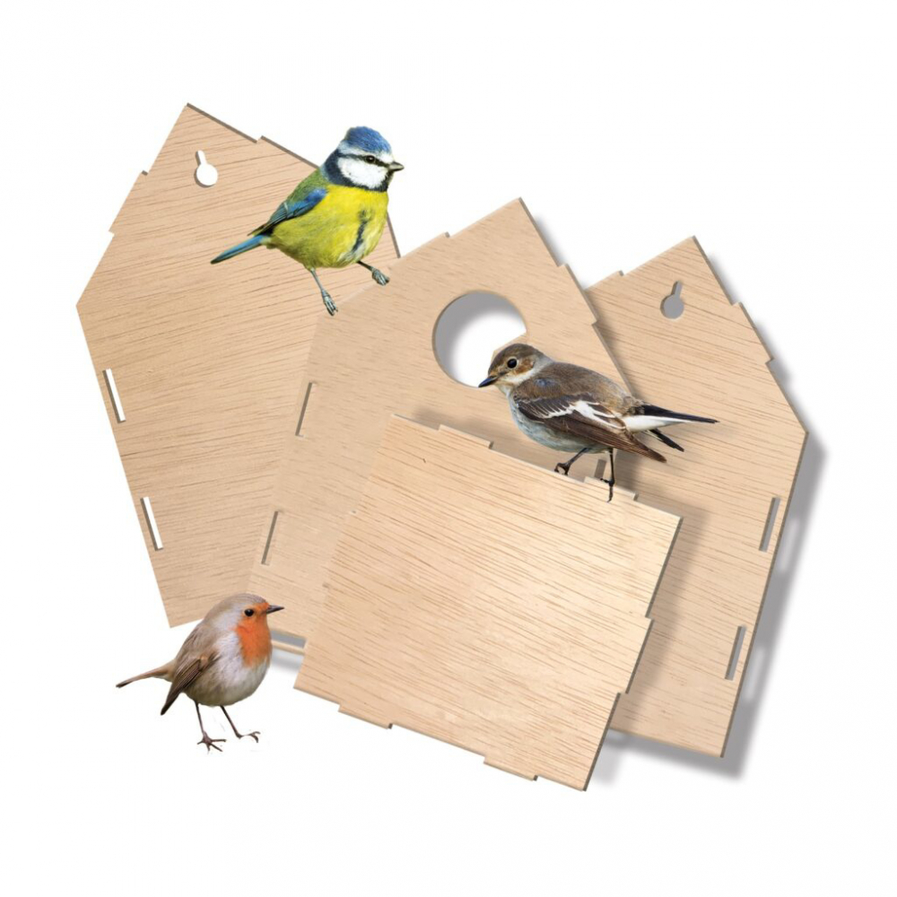 Set Creativ Casuta Pentru Pasari [3]