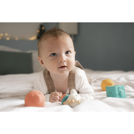 VULLI SAS-Set Cu Bile, Cuburi Si Inel Dentitie Girafa Sophie [5]