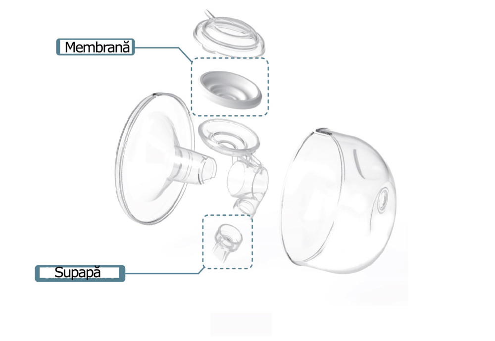 Set Cupe Hands Free (24 mm) [9]