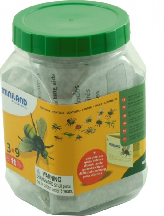 Miniland-Set-de-12-figurine-Insecte-Miniland [2]