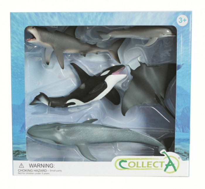 Collecta-Set de 5 figurine pictate manual Viata Marina [2]