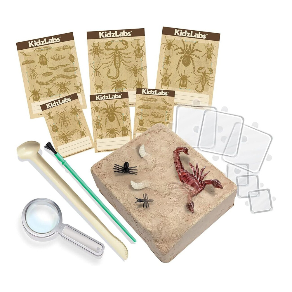 4m-Set excavare si observare Animale Creepy, KidzLabs, 5+ [2]
