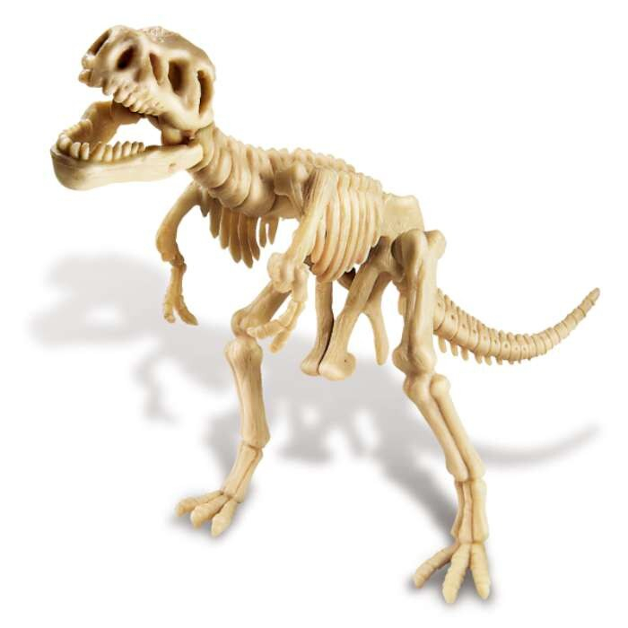 4m-Set excavare Tyrannosaurus Rex - KidzLabs 6+ [3]