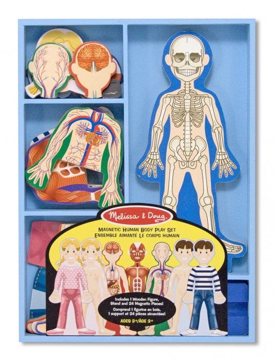 Melissa-Doug-Set-magnetic-Corpul-Uman [2]