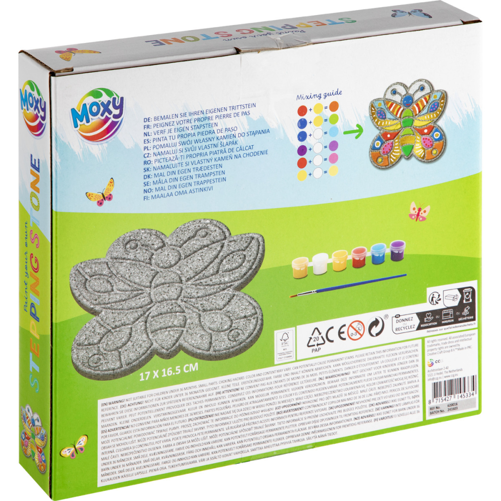 Set pictura pe piatra - Fluturas [4]