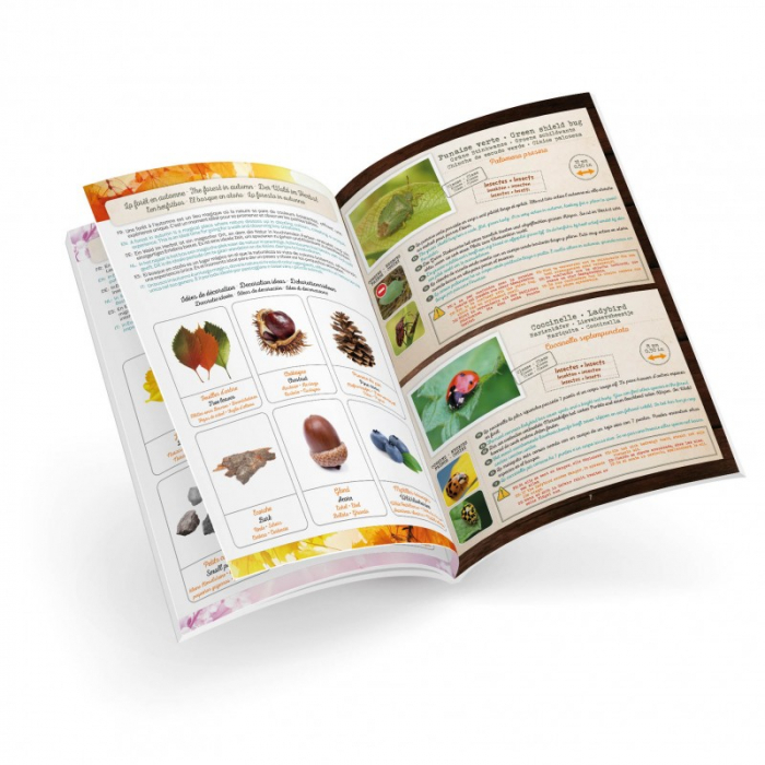 Set Terariu cu lupa pentru insecte sau plante [5]
