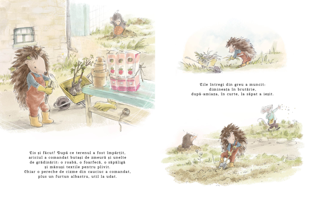 DPH-Soricelul Fursec si surpriza din gradina [2]