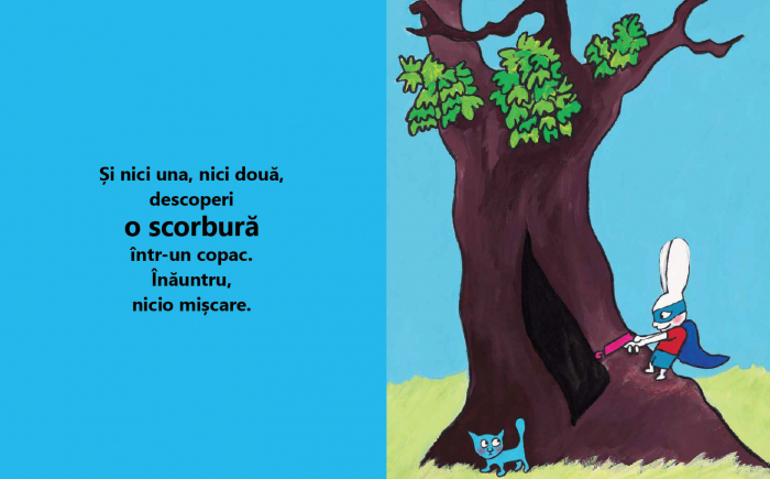 Editura-Cartea-Copiilor-Superiepure-Stephanie-Blake [6]