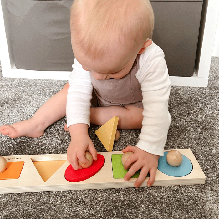 BIGJIGS Toys-Tablita din lemn - Potriveste formele [6]