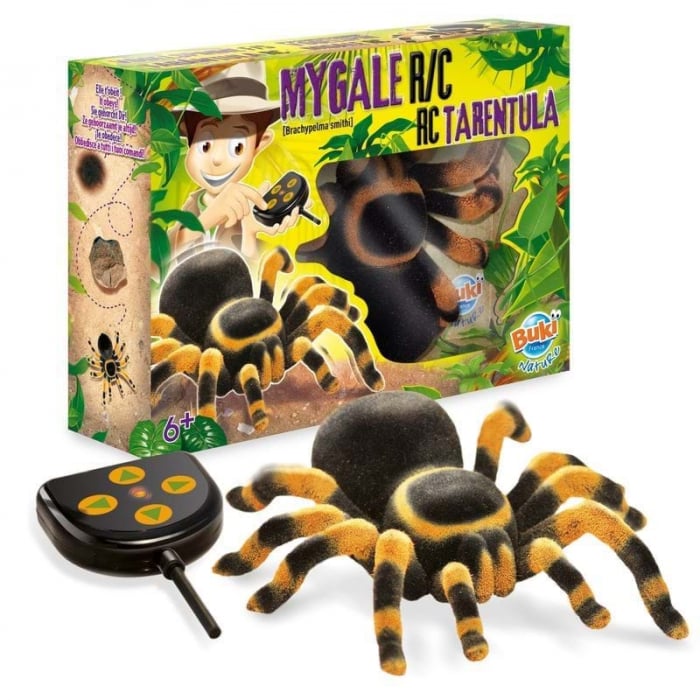 Buki-France-Tarantula-radiocomandata [2]