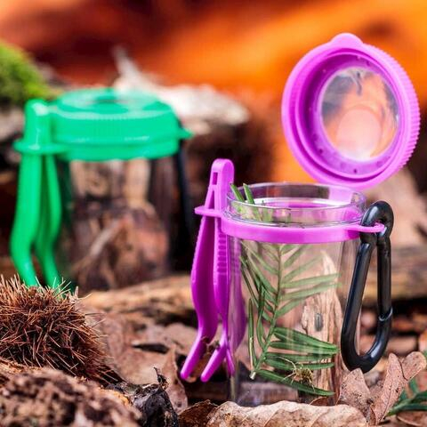 Tobar-Observator-insecte-cu-penseta [3]