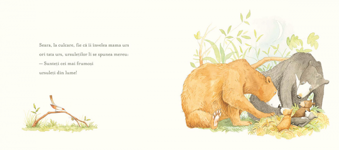 Editura-Cartea-Copiilor-Toti-sunteti-preferatii-mei-Sam-McBratney-ilustratii-de-Anita-Jeram [4]