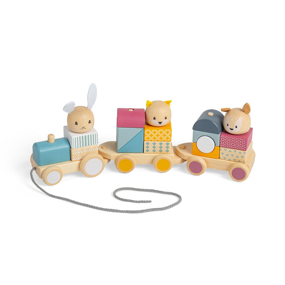 BIGJIGS Toys-Trenulet cu forme - Animalute vesele [3]
